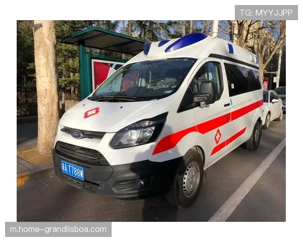 医疗团队评估标准存疑 多队伤病预防体系暴露明显短板